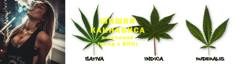 Марихуана SATIVA & INDICA  кракен зеркало  Болохово  как найти закладки 